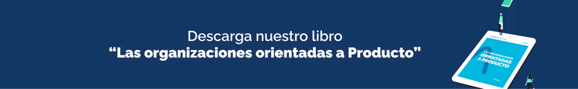 Organizaciones orientadas a producto libro